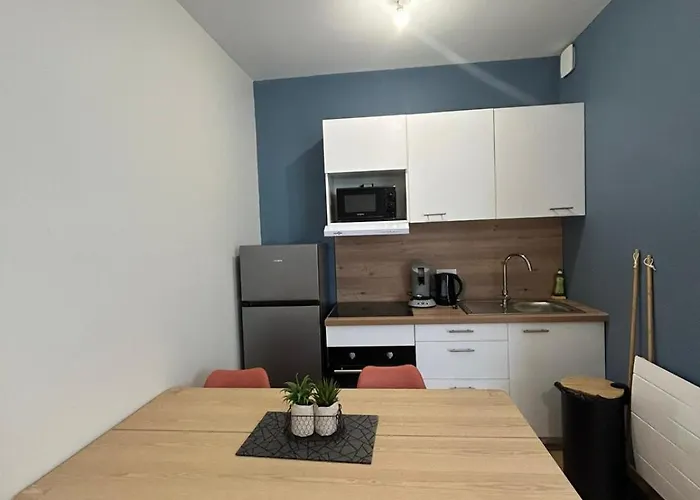 Le Balcon Fleuri - 9 Min Sanctuaires - Renove & Equipe - Calme Sur Cour - 4 Couchages Lurdy