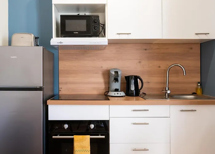 Le Balcon Fleuri - 9 Min Sanctuaires - Renove & Equipe - Calme Sur Cour - 4 Couchages Lourdes